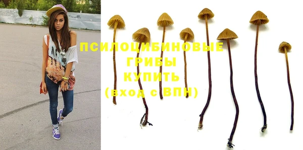 винт Заводоуковск